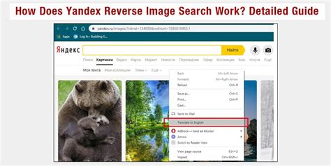 reverse image search for nudes|Yandex Images: search for images online, image search